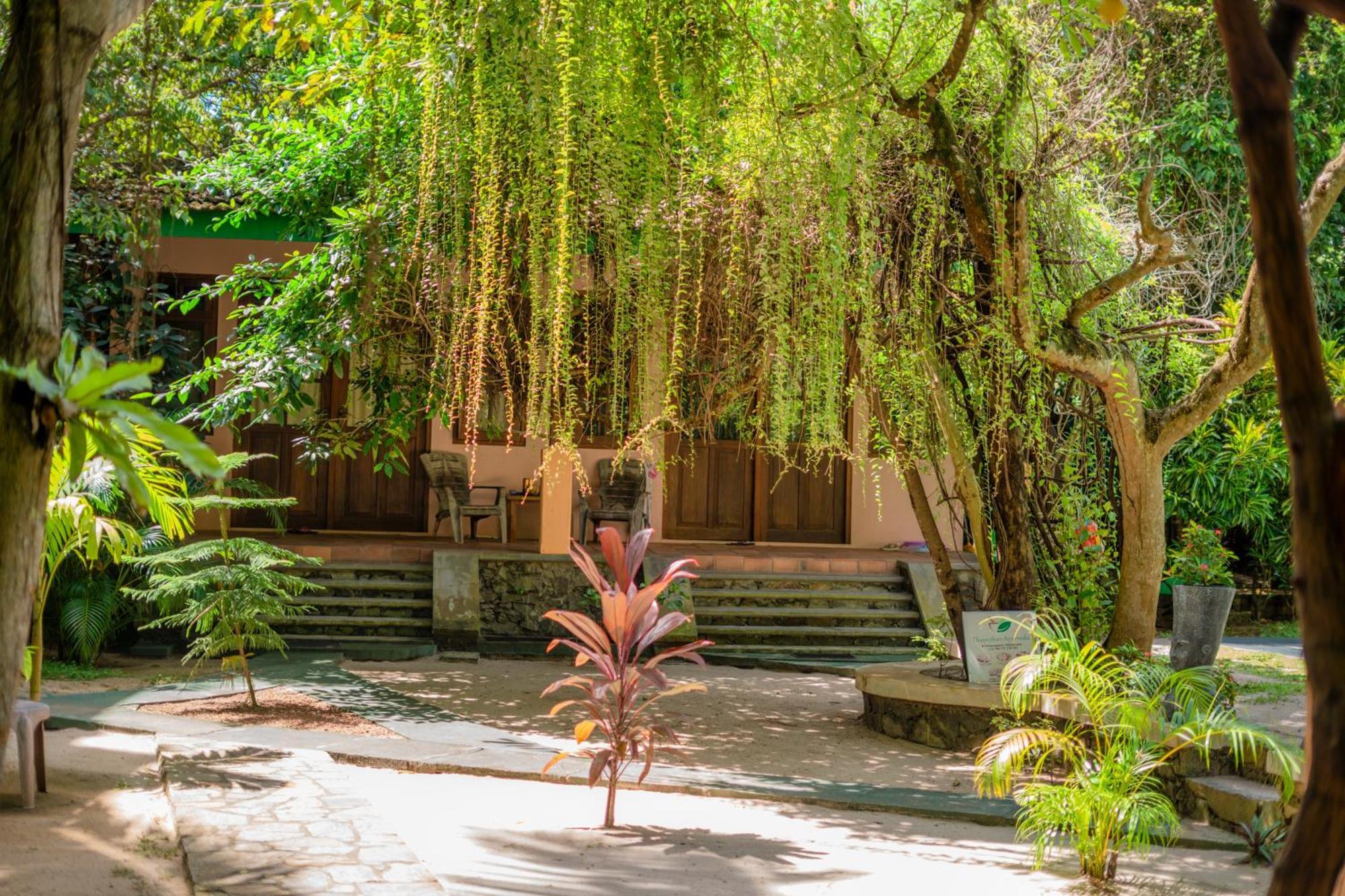 Monkey Villa Hikkaduwa Exterior foto